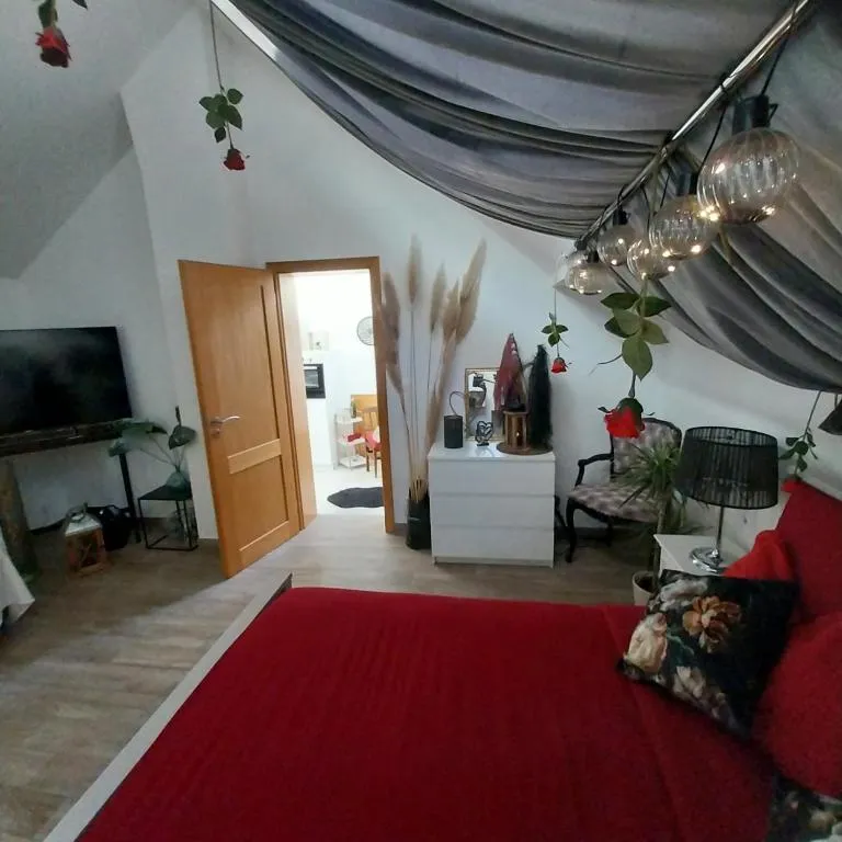 Gîte Spa de Drulingen à Drulingen, photo 3