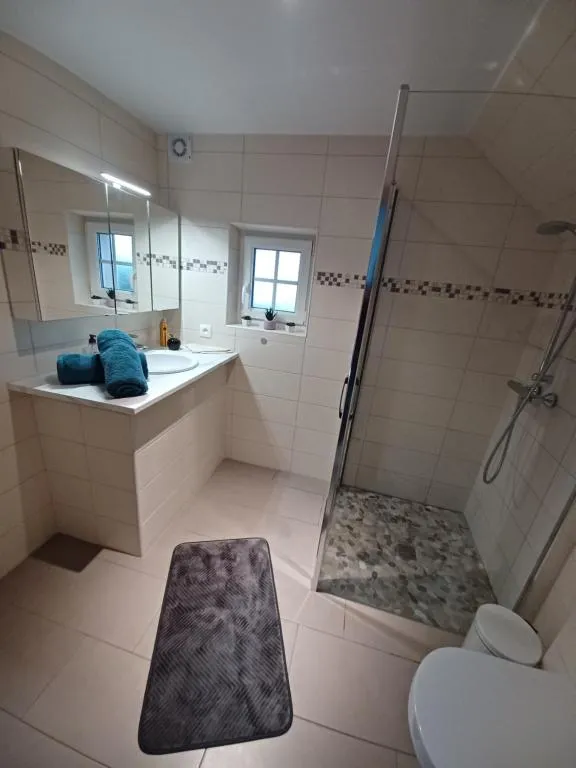 Gîte Spa de Drulingen à Drulingen, photo 7