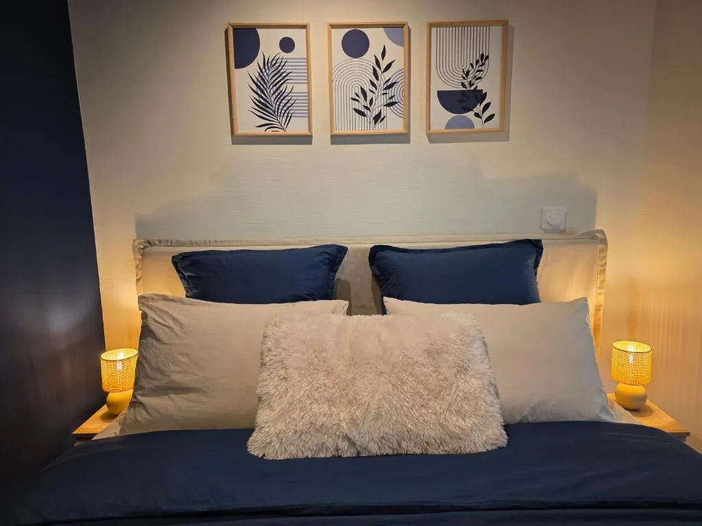 Suite Balnéo de Schiltigheim à Schiltigheim, photo 2