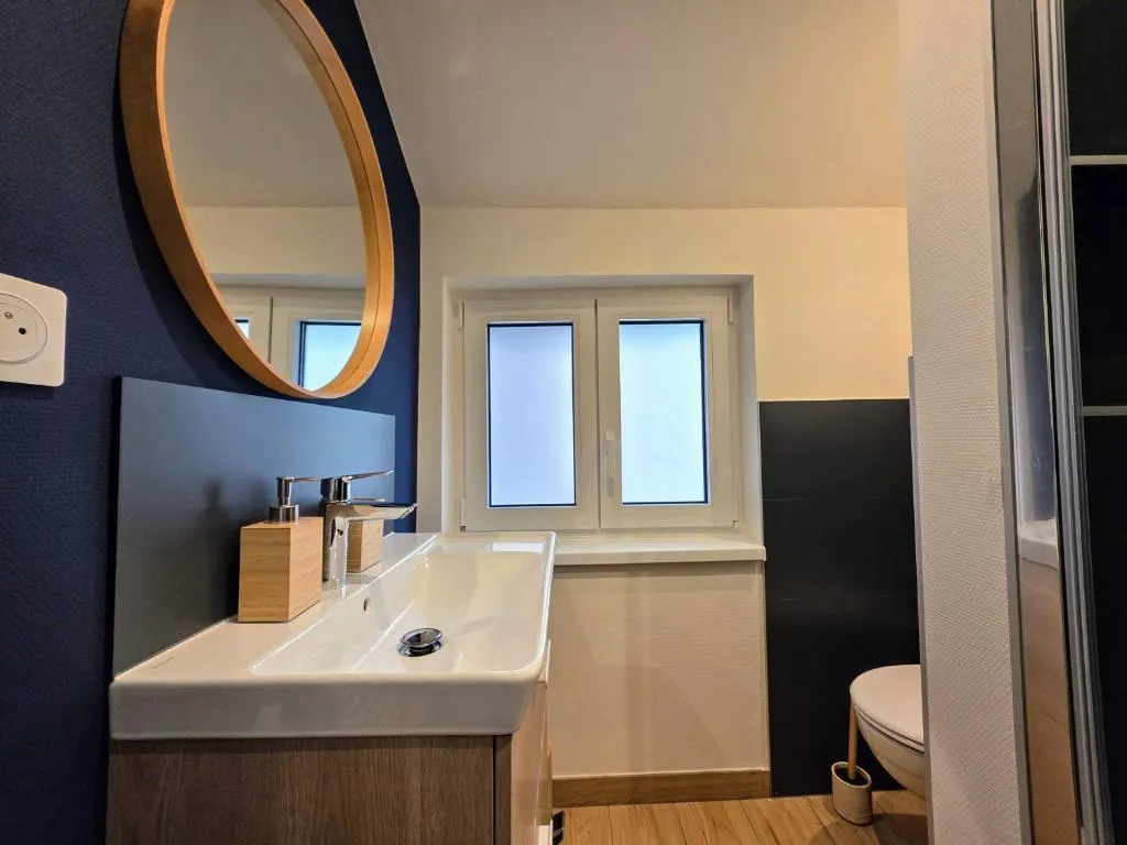 Suite Balnéo de Schiltigheim à Schiltigheim, photo 3