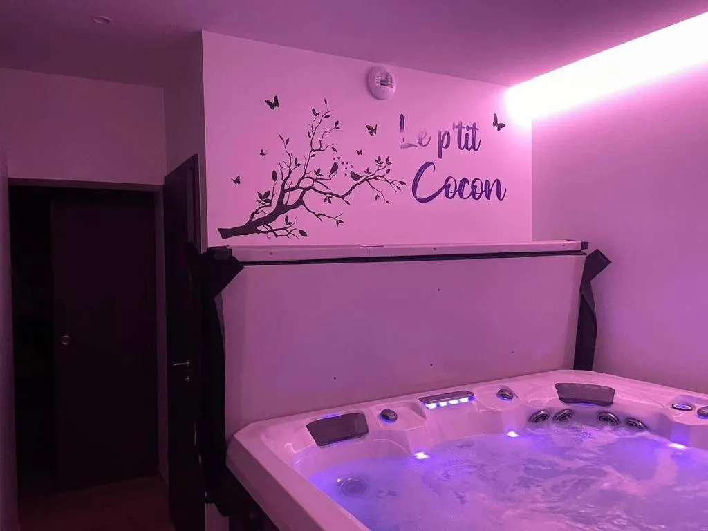 Le Studio Grand Jacuzzi, suite avec spa à Horbourg-Wihr