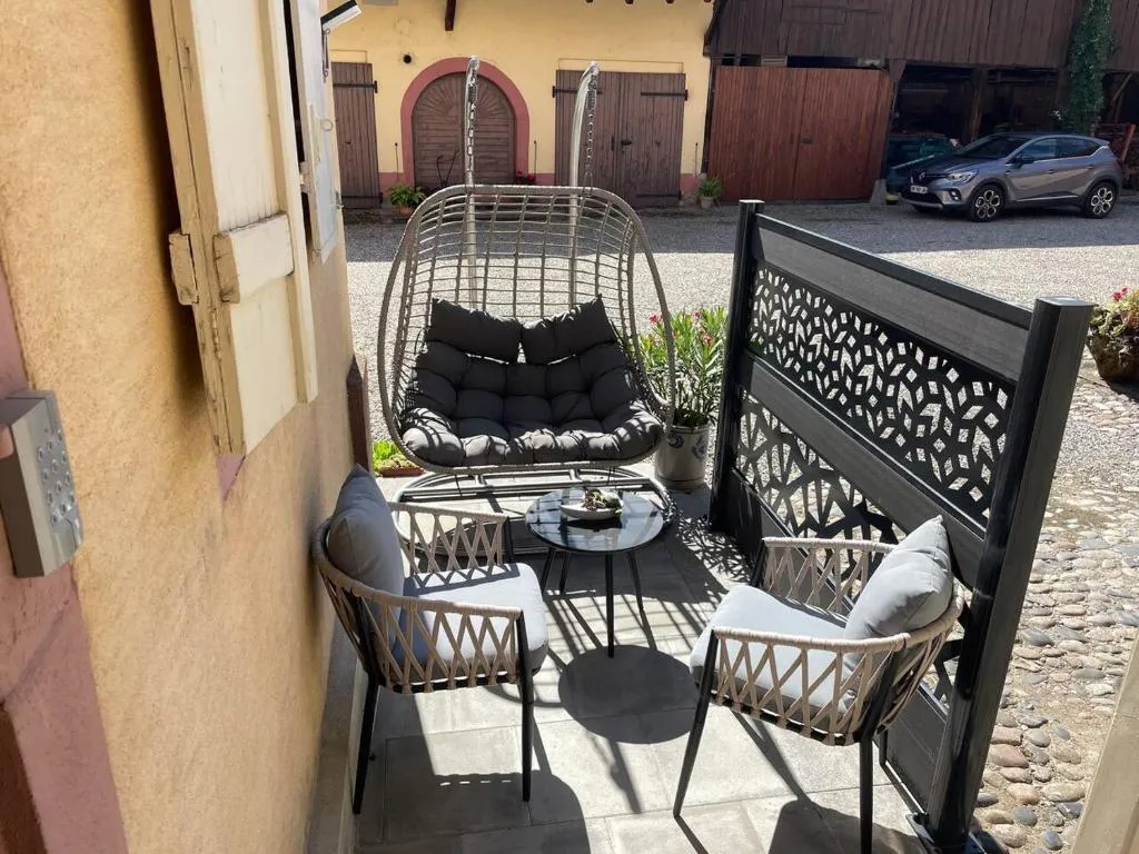 Le Studio Grand Jacuzzi à Horbourg-Wihr, photo 7