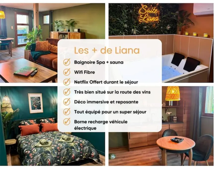 Suite Liana à Rorschwihr, photo 2