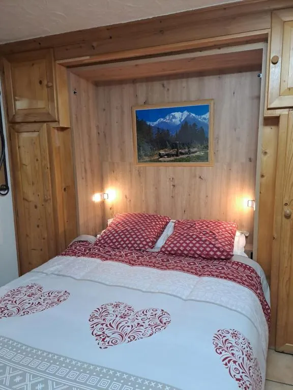 Studio Vue Montagnes à Praz-sur-Arly, photo 2