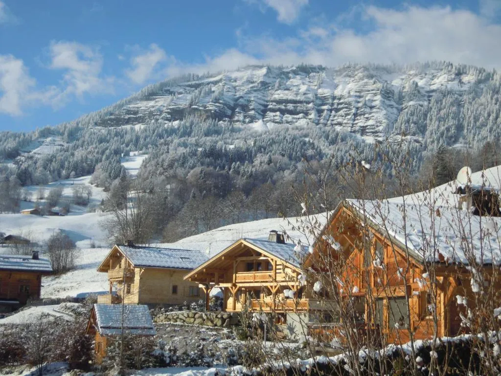 Studio Vue Montagnes à Praz-sur-Arly, photo 6