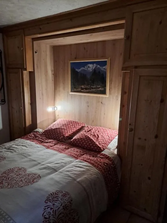 Studio Vue Montagnes à Praz-sur-Arly, photo 7