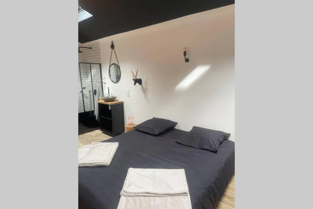 Appartement Balnéo d'Amfreville à Amfreville-la-Mi-Voie, photo 2