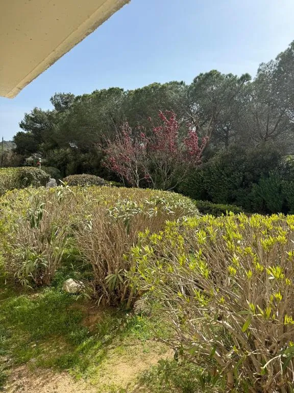 Flower Suite à La Seyne-sur-Mer, photo 6