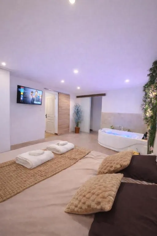 Appartement jacuzzi de Naintré à Naintré, photo 2