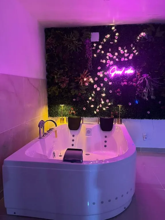 Appartement jacuzzi de Naintré à Naintré, photo 3