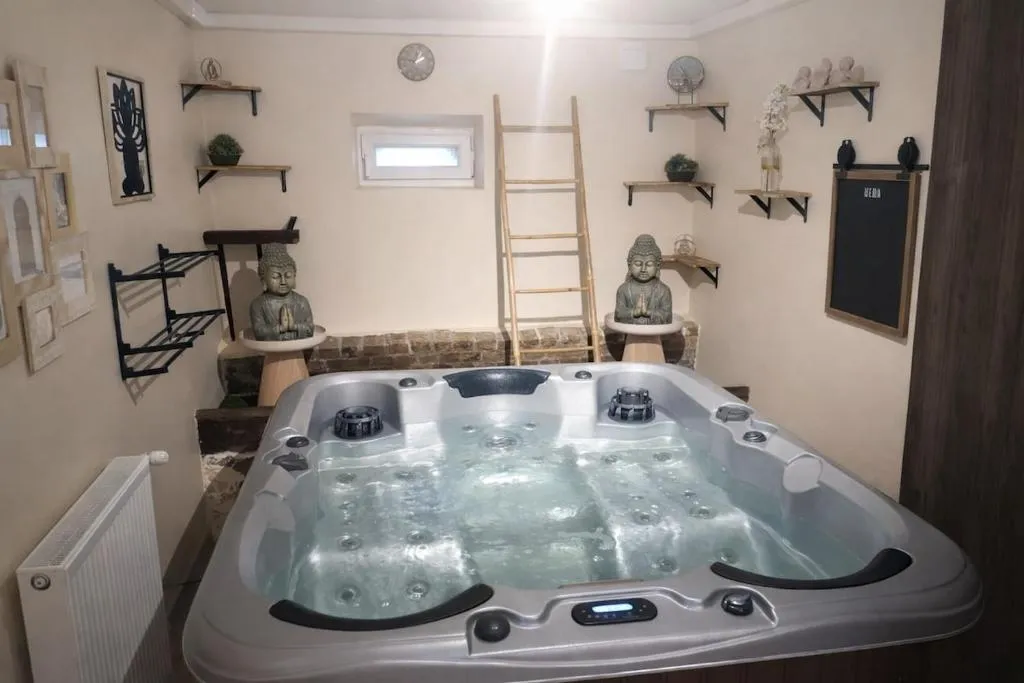 Maison spa et sauna à Thorigny-sur-Oreuse, photo 7