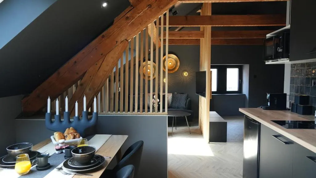 Studio Balnéo Denfert-Rochereau à Belfort, photo 4