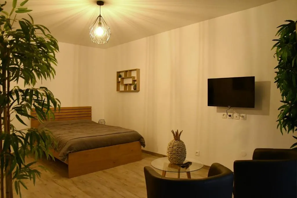 L'Appartement Tropical à Draveil, photo 2