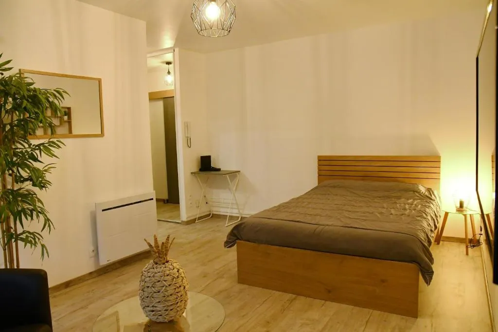 L'Appartement Tropical à Draveil, photo 7