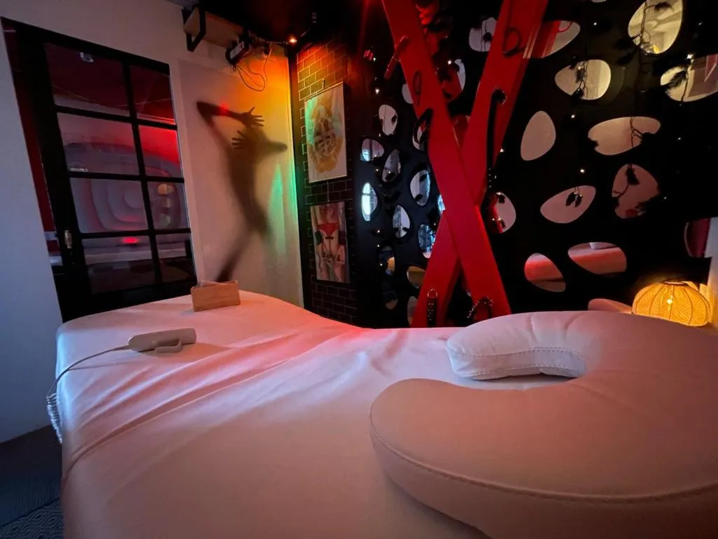 Chambre et Lounge de Marolles à Marolles-en-Hurepoix, photo 2