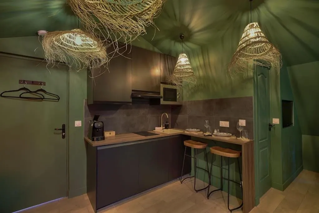 L'Appartement Panama Jungle à Ivry-sur-Seine, photo 4