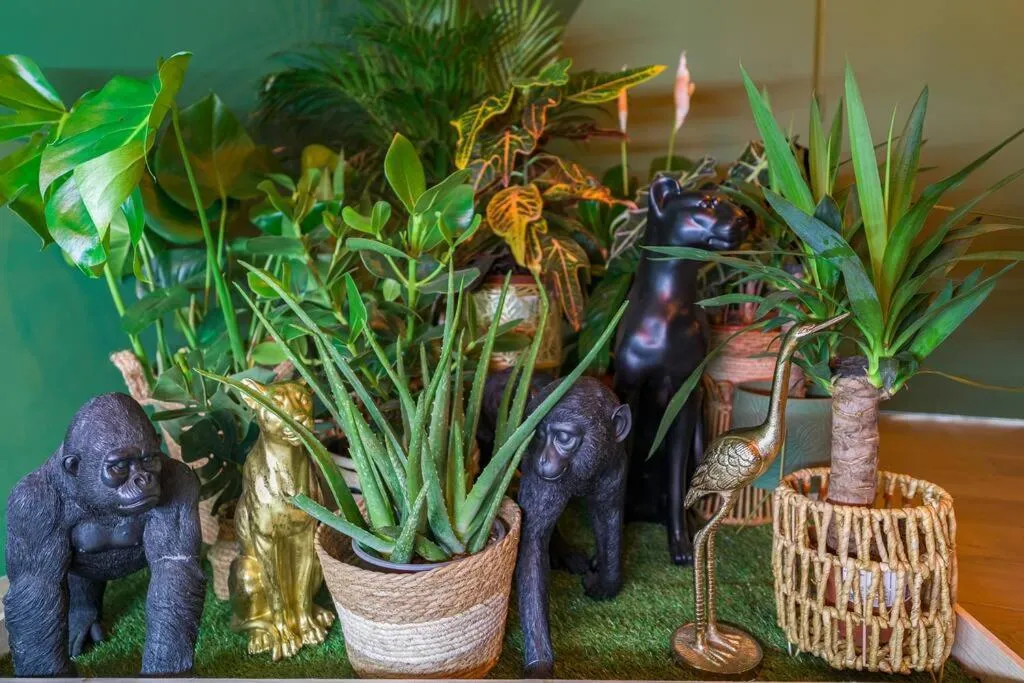 L'Appartement Panama Jungle à Ivry-sur-Seine, photo 6
