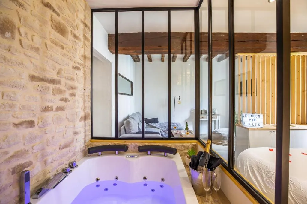 Le Jacuzzi du XIXe, suite avec spa à Chartres