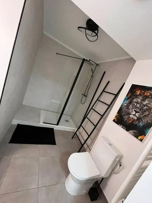 Suite Sauna de Castelnau à Castelnau-le-Lez, photo 3