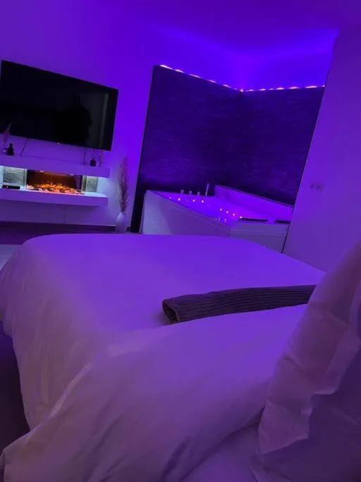 Suite Sauna de Castelnau à Castelnau-le-Lez, photo 6