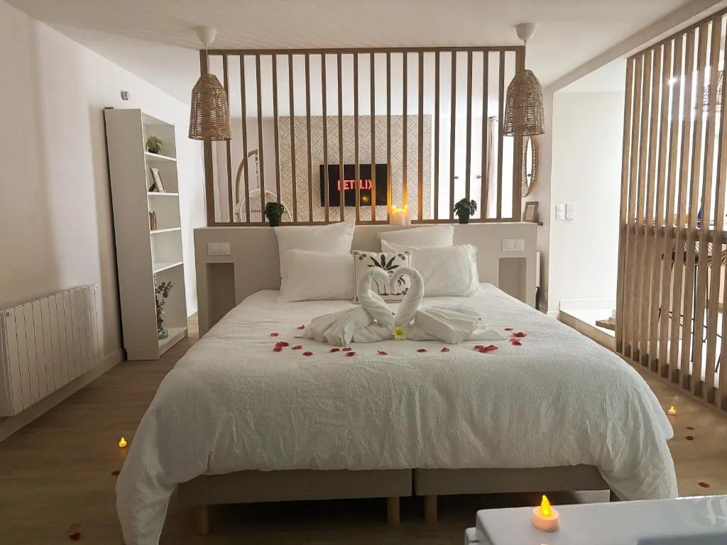 Suite Banjar-Luxe à Saint-Aubin-d'Aubigné, photo 6