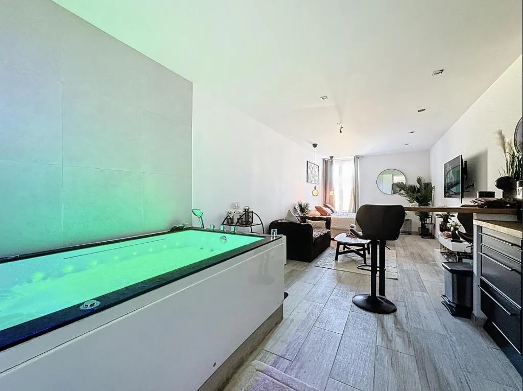 La Suite d'Ysis à Saint-Étienne, photo 4