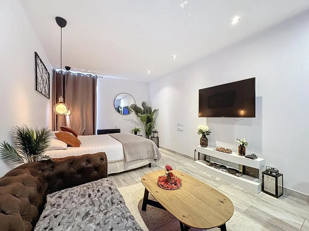 La Suite d'Ysis à Saint-Étienne, photo 6