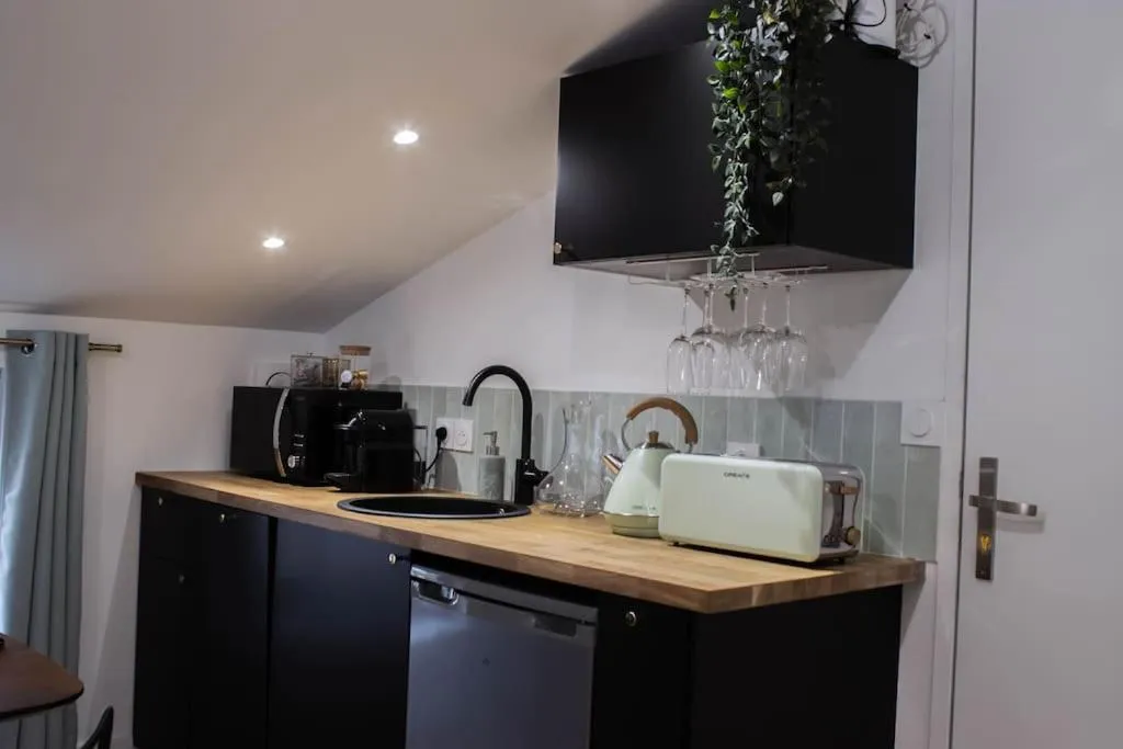 La Suite Émeraude à Saint-Étienne, photo 4