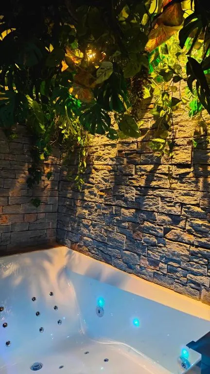 La Jungle Room à Cannes, photo 4