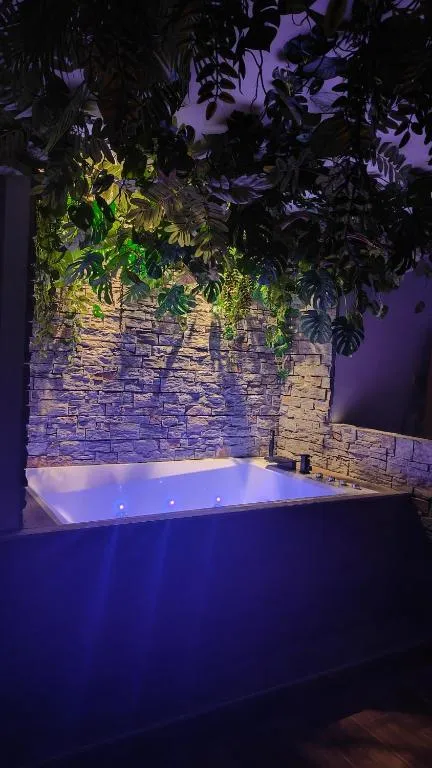 La Jungle Room à Cannes, photo 7