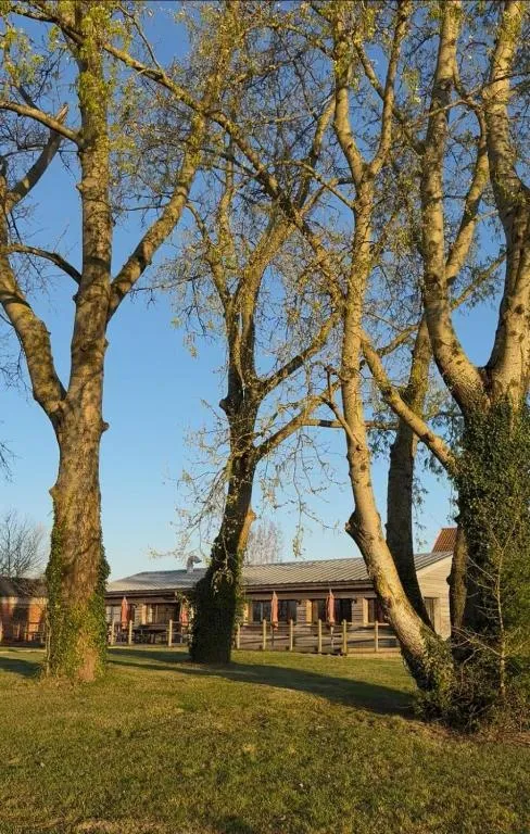 Odyssée Sauna Privatif à Zegerscappel, photo 6