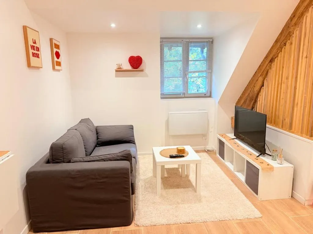 Lodge Jacuzzi à Châtel-Guyon, photo 6