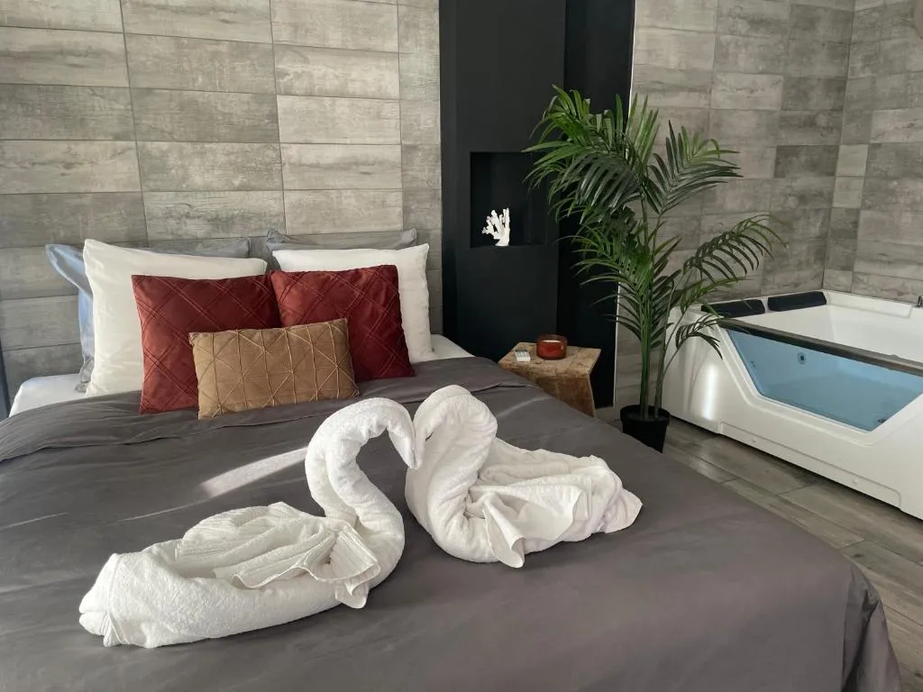 Appartement Balnéo à Saint-Cyprien, photo 3
