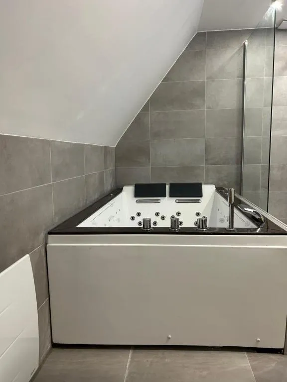 Appartement Jacuzzi Gare à Strasbourg, photo 3