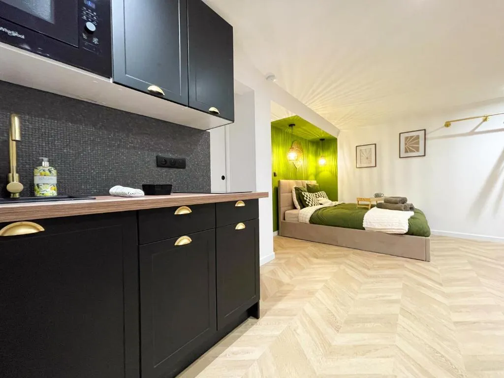 Suite Émeraude à Sélestat, photo 4