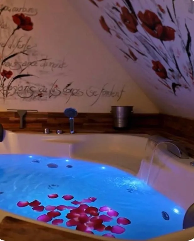 Appartement Spa Gambetta à Mâcon, photo 2