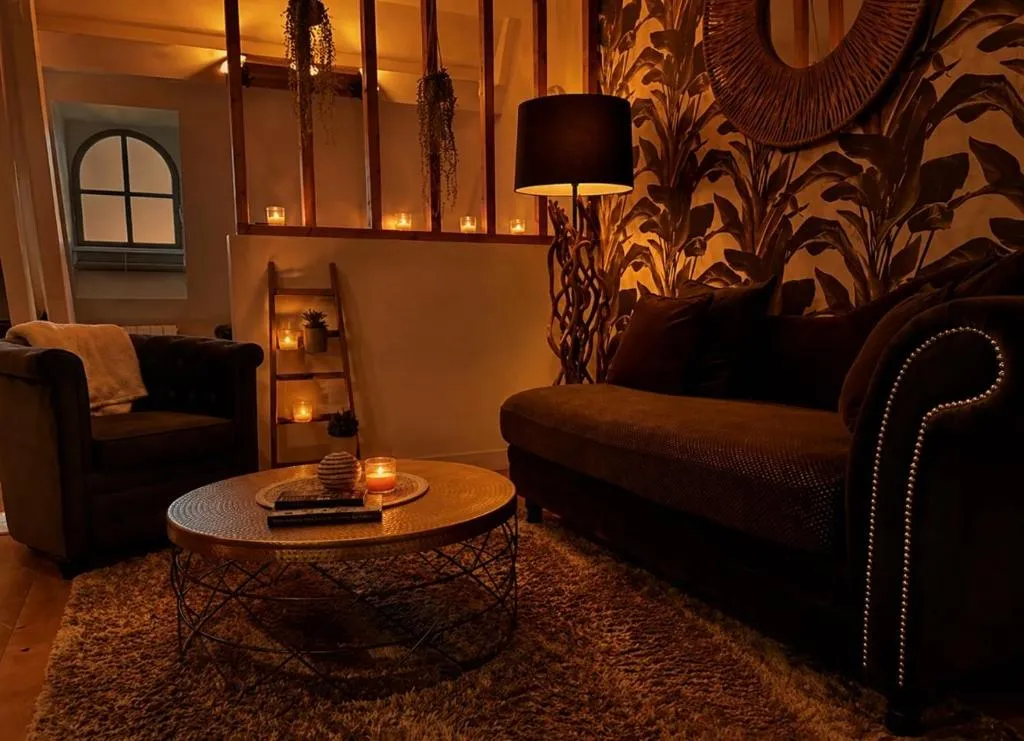 Appartement Spa Gambetta à Mâcon, photo 3