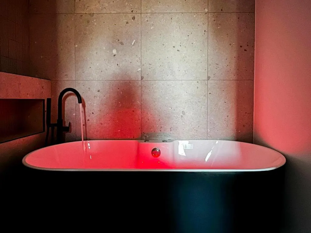 Appartement Jacuzzi et Vélos à Annecy, photo 3