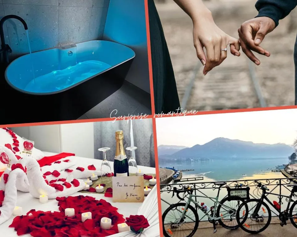 Appartement Jacuzzi et Vélos à Annecy, photo 4