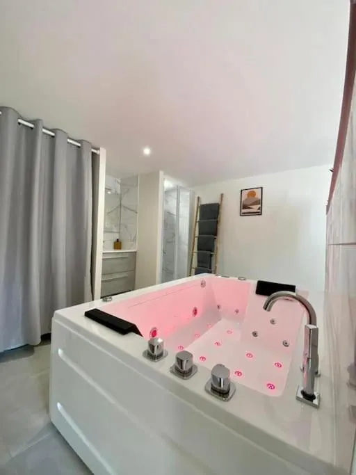 Loft Jardin et Spa à Bressuire, photo 3