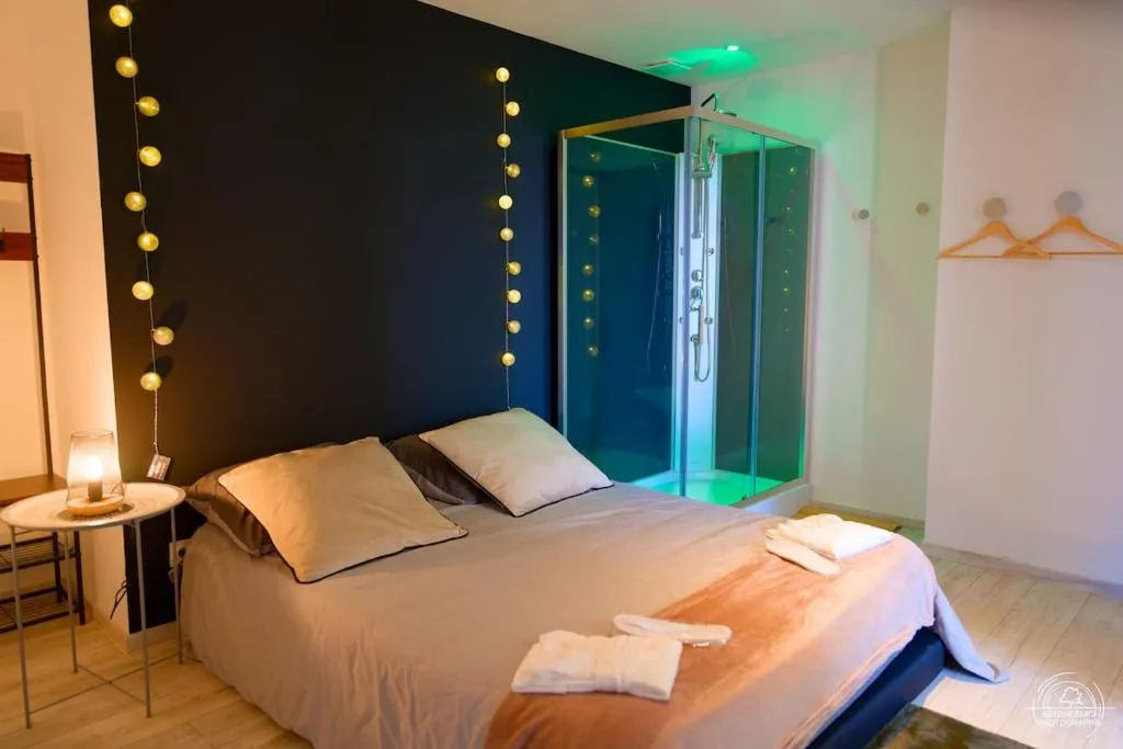 Le Loft & Garden Spa à Nancy, photo 2