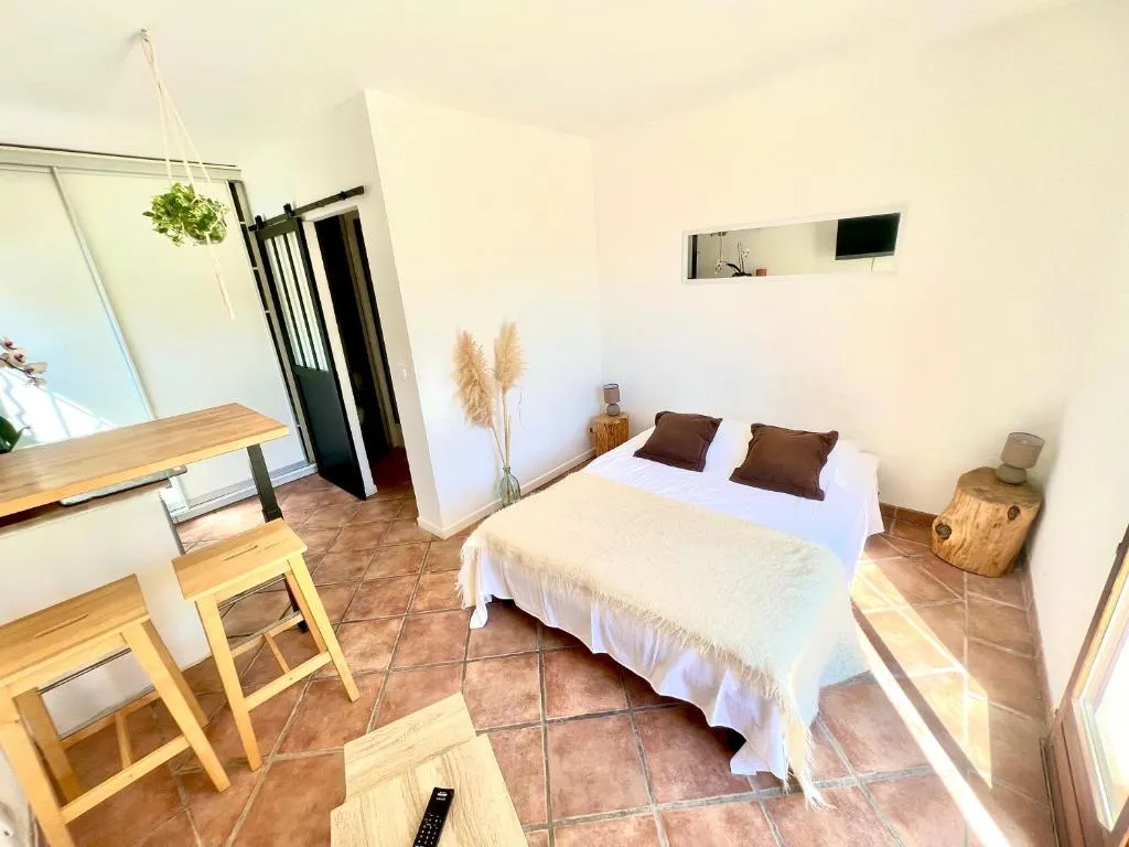 Studio Jacuzzi et Piscine à Lorgues, photo 6