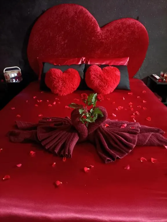 L'Instant Romance à Castelnaudary, photo 6