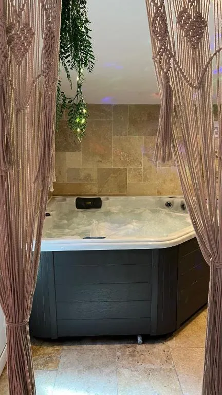 L'Eden Palm Suite et Spa à Berre-l'Étang, photo 2
