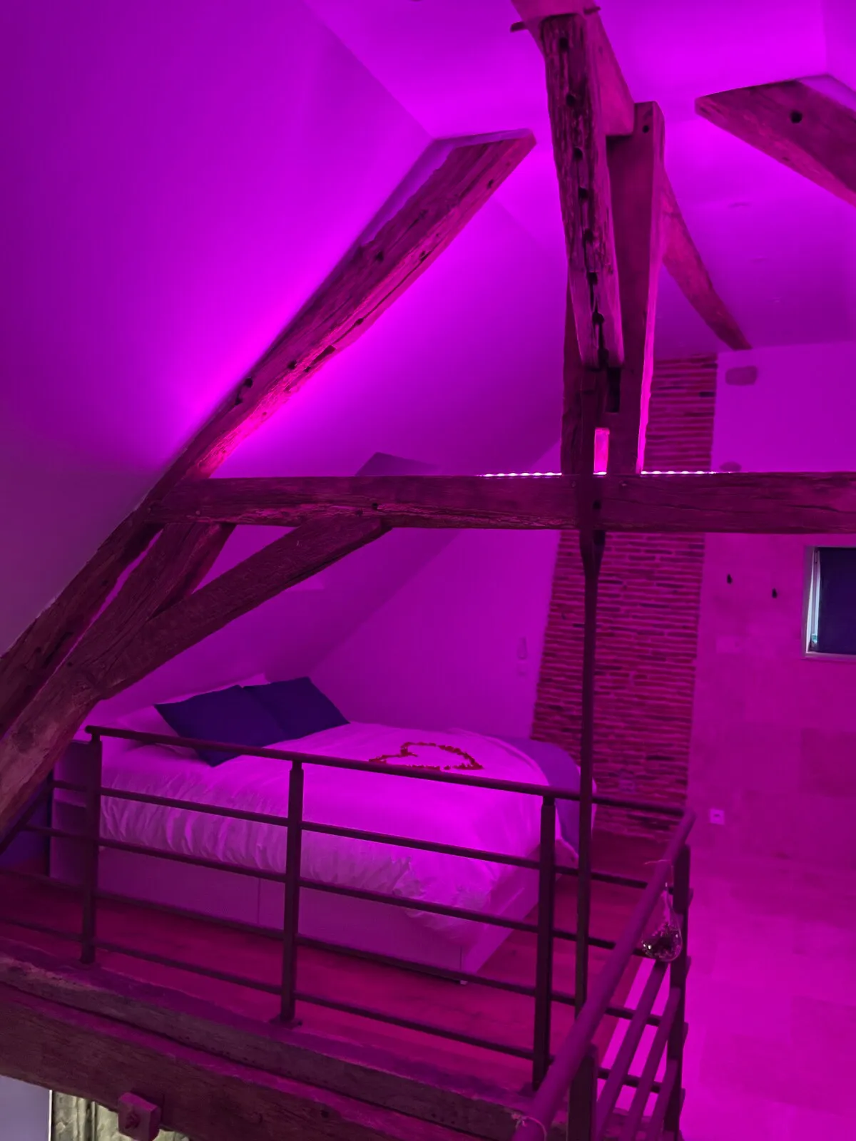 Le Camélia Spa à Neuville-aux-Bois, photo 7