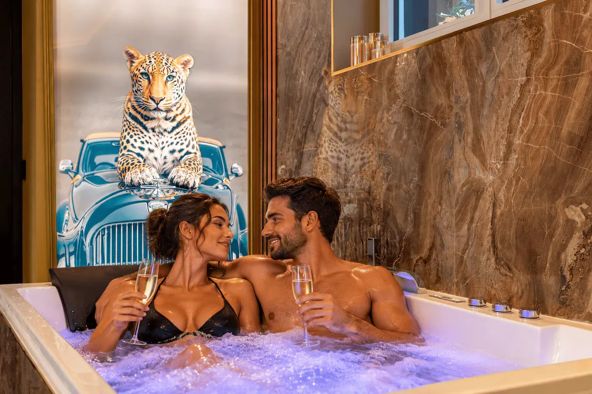 La Suite Voûtée des Félins, suite avec spa à Rouen