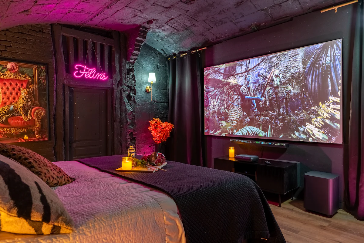 La Suite Voûtée des Félins à Rouen, photo 3