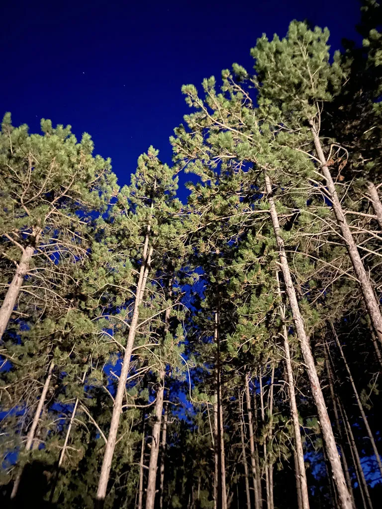 Cabane La Parenthèse à Dieulefit, photo 4