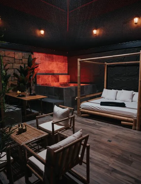 La Suite Gaïa à Manage, photo 2