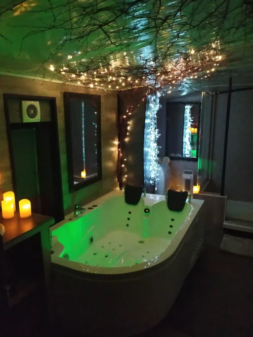 Le Loft Papillons à Rontalon, photo 7
